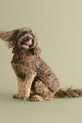 Barbour płaszcz dla psa x Farm Rio DCO0092 multicolor AA00