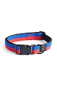 HAY obroża dla psa M/L 2,5 x 40-65 cm multicolor AD864.D013.AL56