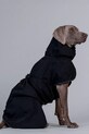 PAIKKA płaszcz przeciwdeszczowy dla psa 48 x 38 x 0,9 cm 1040064 czarny