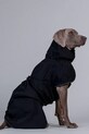 PAIKKA płaszcz przeciwdeszczowy dla psa Recovery Raincoat 56 x 45 x 0,9 cm 1040070 czarny