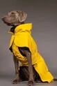 PAIKKA płaszcz przeciwdeszczowy dla psa Visibility Raincoat 48 x 38 x 0,9 cm 1044018 żółty