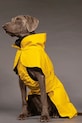 Кучешки дъждобран PAIKKA Visibility Raincoat 48 x 38 x 0,9 cm 1044018 жълт