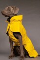 PAIKKA płaszcz przeciwdeszczowy dla psa Visibility Raincoat 56 x 45 x 0,9 cm 1044022 żółty