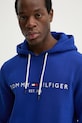 Кофта Tommy Hilfiger голубой MW0MW11599
