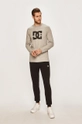 DC - Longsleeve EDYZT03914 gri AW19