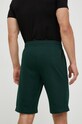 Odzież EA7 Emporio Armani szorty PJ05Z.8NPS02 zielony