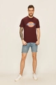 Dickies - T-shirt bordowy