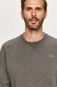 gray Lacoste sweatshirt