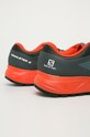 Obuwie Salomon - Buty Trailster 2 L40962800 szary