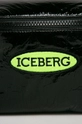 Iceberg - Ľadvinka čierna