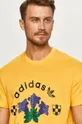 żółty adidas Originals - T-shirt GD5607