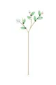 λευκό Swarovski - Διακοσμητικό λουλούδι από κρύσταλλα GARDEN TALES - MISTLETOE Γυναικεία