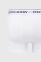Боксеры Polo Ralph Lauren 714835885008