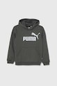 Puma bluza dziecięca z kapturem szary 586965