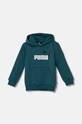 Детская кофта Puma с капюшоном зелёный 586987