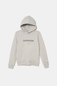 Дитяча бавовняна кофта Calvin Klein Jeans з капюшоном сірий IU0IU00163.4890