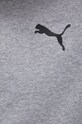 Puma Bluza 586702 586702 szary