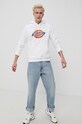 Кофта Dickies DK0A4XCBWHX белый AW21