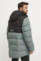 Одежда Спортивная куртка Helly Hansen 53522 зелёный