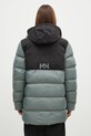 Одежда Спортивная куртка Helly Hansen 53522 зелёный