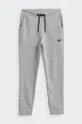 сірий Дитячі штани 4F Для хлопчиків