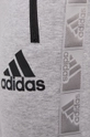 сірий Штани adidas