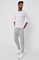 Брюки Polo Ralph Lauren 714844763001 серый AW21
