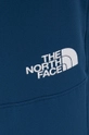 бирюзовый Брюки The North Face