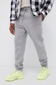 Dickies Spodnie DK0A4XIMGYM szary