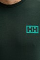 Футболка Helly Hansen SKOG RECYCLED GRAPHIC 63082 зелений