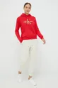 κόκκινο Μπλούζα Calvin Klein Jeans Γυναικεία