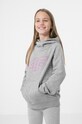 4F bluza dziecięca z kapturem szary HJZ22.JBLD002