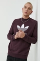 vijolična Bombažen pulover adidas Originals