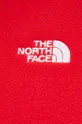 The North Face bluza sportowa Alpine Polartec 200 Męski