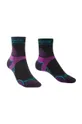 фіолетовий Шкарпетки Bridgedale Lightweight T2 Merino Sport Жіночий