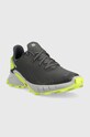 Cipele Salomon Alphacross 4 GTX L47066700 siva AW22