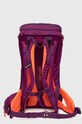 Αξεσουάρ Σακίδιο πλάτης Salewa Alp Trainer 20 00.0000001262 μωβ