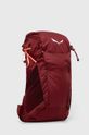 Akcesoria Salewa plecak ALP TRAINER 20 00.0000001262 bordowy