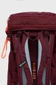 Salewa plecak ALP TRAINER 20 bordowy 00.0000001262