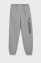 сірий Дитячі спортивні штани Quiksilver Для хлопчиків