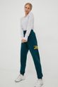 Reebok Classic spodnie dresowe HN6132 zielony AW22