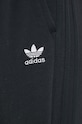 Спортивні штани adidas Originals Always Original HK5064 чорний