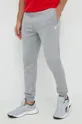 Спортивные штаны Guess серый