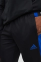 Hlače za vadbo adidas Performance Moški