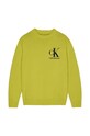 Детски памучен суичър Calvin Klein Jeans памук зелен IB0IB01367.9BYY