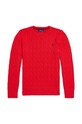 Дитячий бавовняний светер Polo Ralph Lauren інші червоний 323702674043