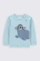 niebieski Coccodrillo sweter niemowlęcy Chłopięcy