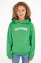 zelena Otroški pulover Tommy Hilfiger Fantovski