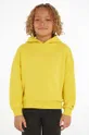 rumena Otroški bombažen pulover Calvin Klein Jeans Fantovski