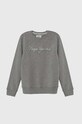 Pepe Jeans bluza dziecięca pozostałe szary PB581532
